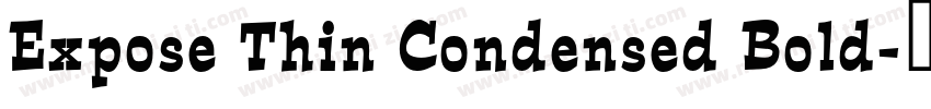Expose Thin Condensed Bold字体转换